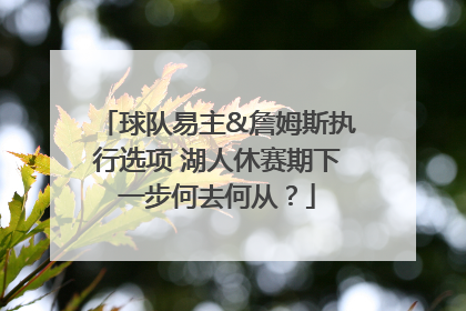 球队易主&詹姆斯执行选项 湖人休赛期下一步何去何从？