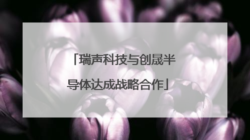 瑞声科技与创晟半导体达成战略合作