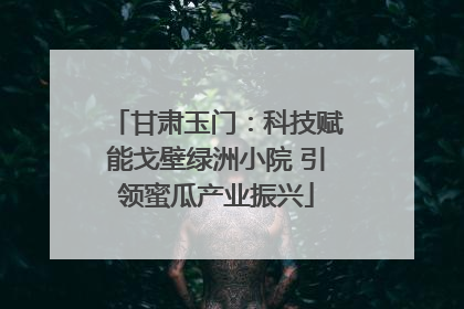 甘肃玉门：科技赋能戈壁绿洲小院 引领蜜瓜产业振兴