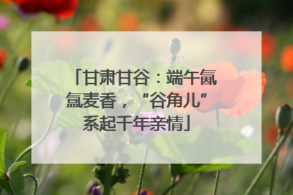 甘肃甘谷：端午氤氲麦香，“谷角儿”系起千年亲情