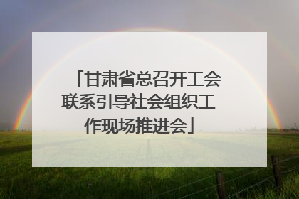 甘肃省总召开工会联系引导社会组织工作现场推进会