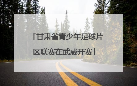 甘肃省青少年足球片区联赛在武威开赛