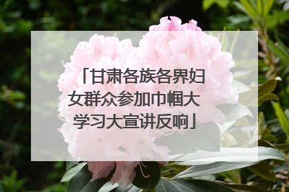 甘肃各族各界妇女群众参加巾帼大学习大宣讲反响