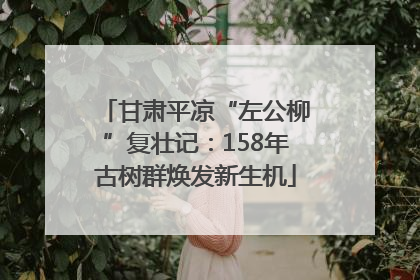 甘肃平凉“左公柳”复壮记：158年古树群焕发新生机