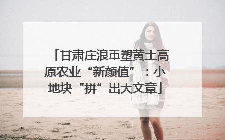 甘肃庄浪重塑黄土高原农业“新颜值”：小地块“拼”出大文章