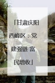 甘肃庆阳西峰区：党建强链 富民增收