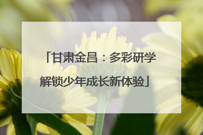 甘肃金昌：多彩研学解锁少年成长新体验