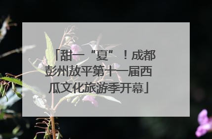 甜一“夏”！成都彭州敖平第十一届西瓜文化旅游季开幕