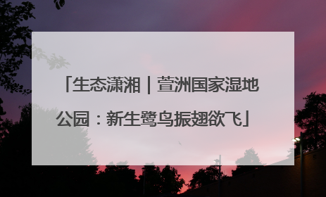 生态潇湘｜萱洲国家湿地公园：新生鹭鸟振翅欲飞
