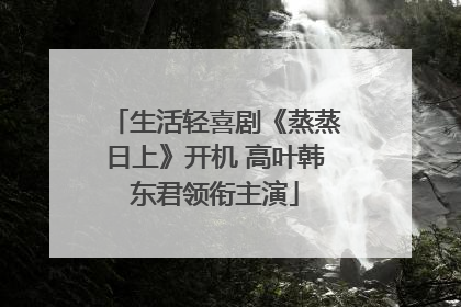 生活轻喜剧《蒸蒸日上》开机 高叶韩东君领衔主演