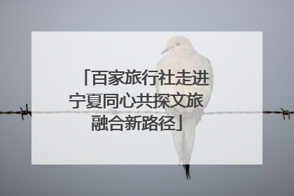 百家旅行社走进宁夏同心共探文旅融合新路径