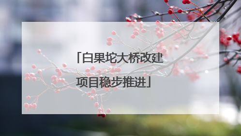 白果坨大桥改建项目稳步推进