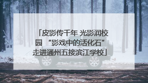 皮影传千年 光影润校园 “影戏中的活化石”走进通州五接滨江学校