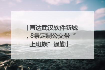 直达武汉软件新城，8条定制公交带“上班族”通勤