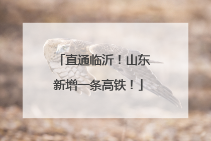 直通临沂！山东新增一条高铁！
