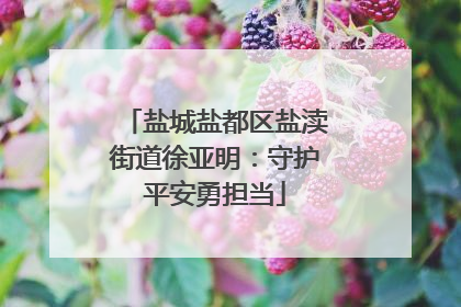 盐城盐都区盐渎街道徐亚明：守护平安勇担当