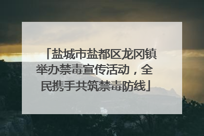 盐城市盐都区龙冈镇举办禁毒宣传活动，全民携手共筑禁毒防线