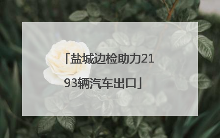 盐城边检助力2193辆汽车出口