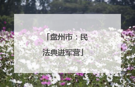 盘州市：民法典进军营