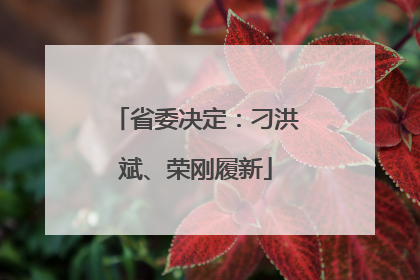 省委决定：刁洪斌、荣刚履新