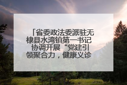 省委政法委派驻无棣县水湾镇第一书记 协调开展“党建引领聚合力，健康义诊惠乡亲”义诊活动