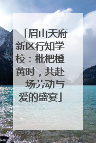 眉山天府新区行知学校：枇杷橙黄时，共赴一场劳动与爱的盛宴