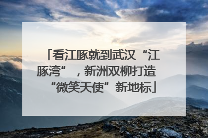 看江豚就到武汉“江豚湾”，新洲双柳打造“微笑天使”新地标