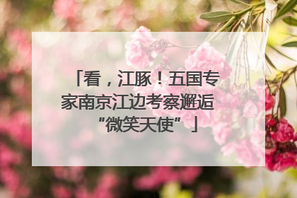 看，江豚！五国专家南京江边考察邂逅“微笑天使”