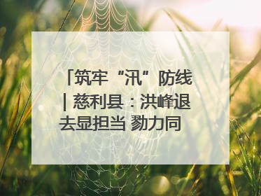 筑牢“汛”防线｜慈利县：洪峰退去显担当 勠力同心启新篇
