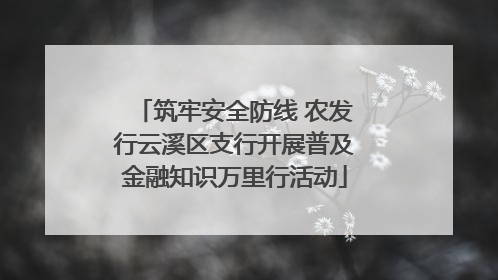 筑牢安全防线 农发行云溪区支行开展普及金融知识万里行活动
