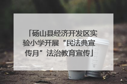 砀山县经济开发区实验小学开展“民法典宣传月”法治教育宣传
