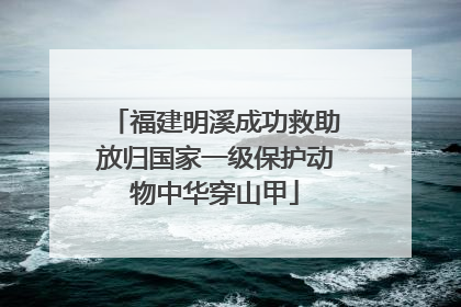 福建明溪成功救助放归国家一级保护动物中华穿山甲