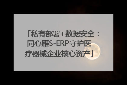 私有部署+数据安全：同心雁S-ERP守护医疗器械企业核心资产