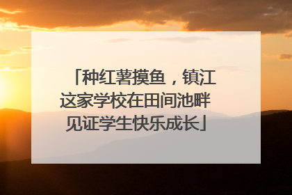 种红薯摸鱼，镇江这家学校在田间池畔见证学生快乐成长