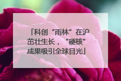 科创“雨林”在沪茁壮生长，“硬核”成果吸引全球目光