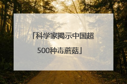 科学家揭示中国超500种毒蘑菇