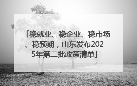 稳就业、稳企业、稳市场、稳预期，山东发布2025年第二批政策清单