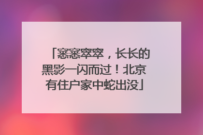 窸窸窣窣，长长的黑影一闪而过！北京有住户家中蛇出没