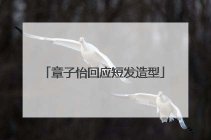 章子怡回应短发造型