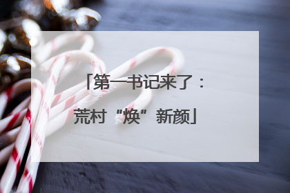 第一书记来了：荒村“焕”新颜