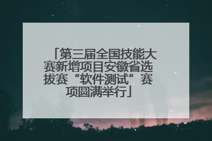 第三届全国技能大赛新增项目安徽省选拔赛“软件测试”赛项圆满举行