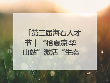 第三届海右人才节｜“拾夏凉·华山站”激活“生态聚才”强磁场