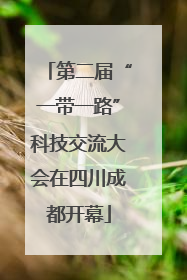 第二届“一带一路”科技交流大会在四川成都开幕