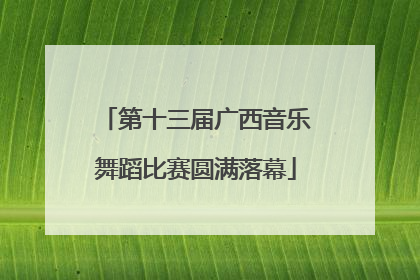 第十三届广西音乐舞蹈比赛圆满落幕