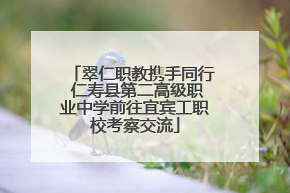 翠仁职教携手同行 仁寿县第二高级职业中学前往宜宾工职校考察交流