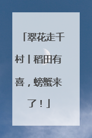 翠花走千村丨稻田有喜，螃蟹来了！