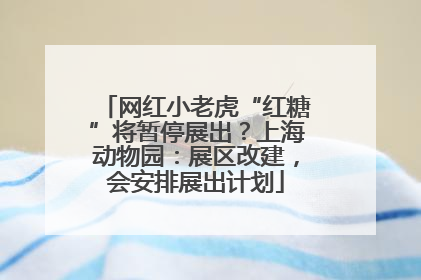 网红小老虎“红糖”将暂停展出？上海动物园：展区改建，会安排展出计划