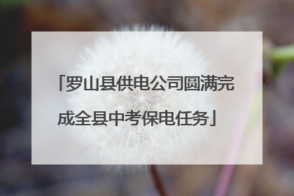 罗山县供电公司圆满完成全县中考保电任务