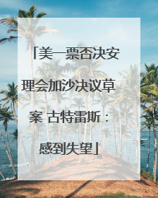 美一票否决安理会加沙决议草案 古特雷斯：感到失望