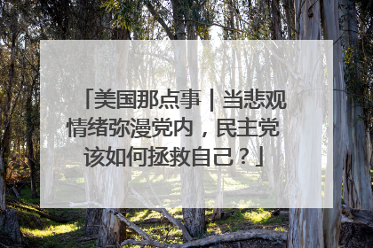 美国那点事｜当悲观情绪弥漫党内，民主党该如何拯救自己？